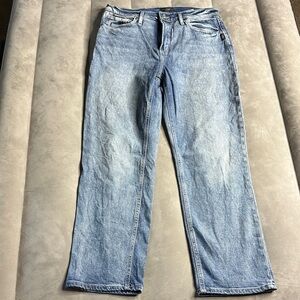 Silver Jeans Men's Relaxed Light Blue Denim 90s Boyfriend Style 30x27